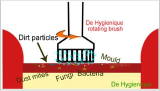 How to Clean Urine from Mattress - De Hygienique