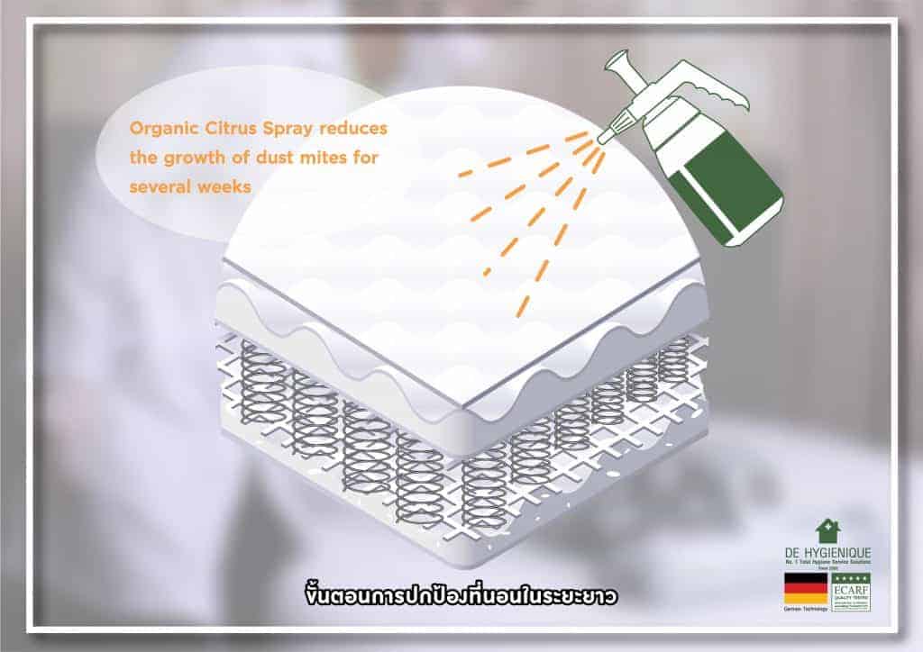 How to Clean Urine from Mattress - De Hygienique